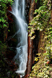 Pequeña caida de Agua