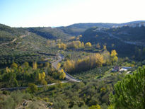 Colores del otoño