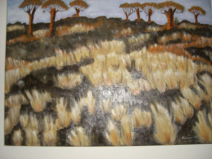 Paisaje kalahari