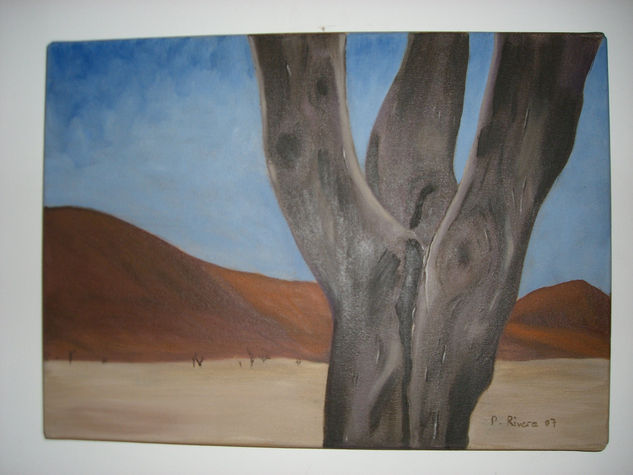 NAMIB Óleo Lienzo Paisaje