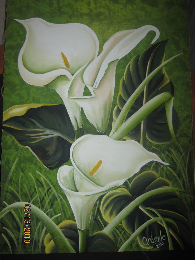cartuchos