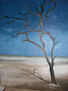 DESIERTO KALAHARI