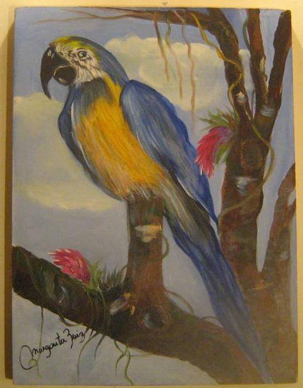 Guacamayo Azul Oil Canvas Landscaping