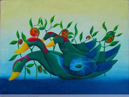 Patos del oconal