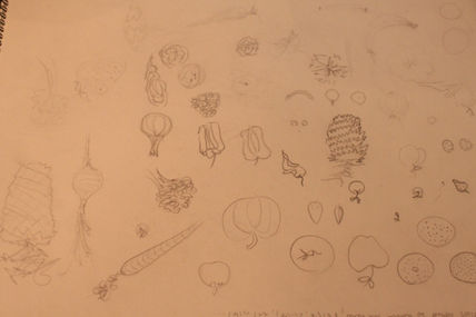 Cuaderno de bocetos284