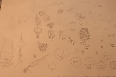 Cuaderno de bocetos284
