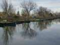REFLEJOS IV