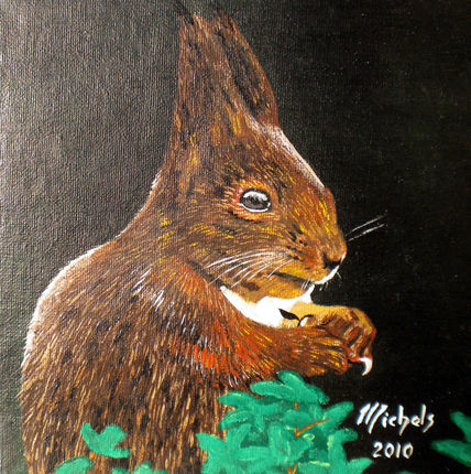 Eichhörnchen