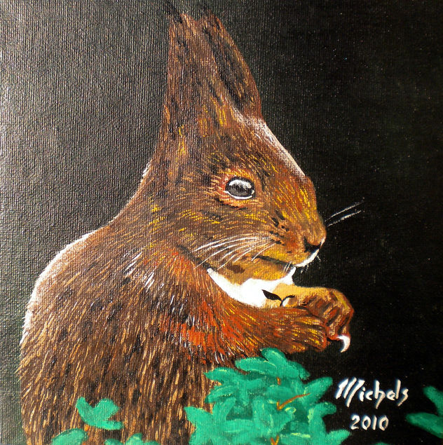 Eichhörnchen