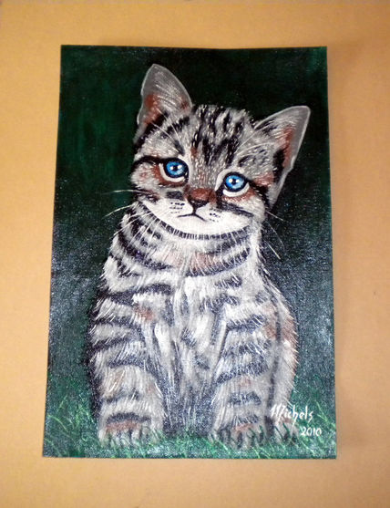 Un chaton
