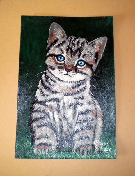 Un chaton