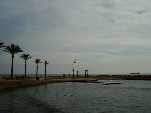 14 de febrero 2010 - Torrevieja - 10-02.0001 - Naturaleza Color (Química)