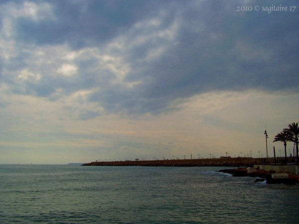 14 de febrero 2010 - Torrevieja - 10-02.0008 - Naturaleza Color (Digital)