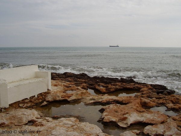 14 de febrero 2010 - Torrevieja - 10-02.0012 -