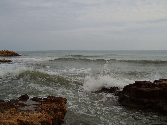 14 de febrero 2010 - Torrevieja - 10-02.015