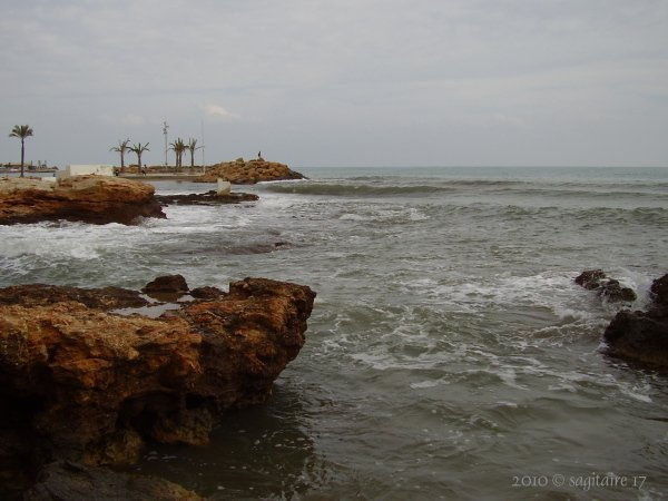 14 de febrero 2010 - Torrevieja - 10-02.0016 -
