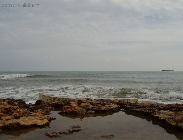 14 de febrero 2010 - Torrevieja - 10-02.0019 -
