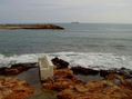 14 de febrero 2010 - Torrevieja - 10-02.0024 -