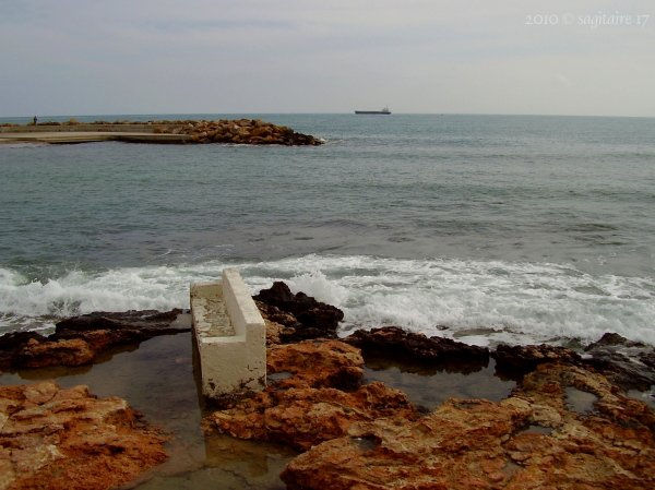 14 de febrero 2010 - Torrevieja - 10-02.0024 -