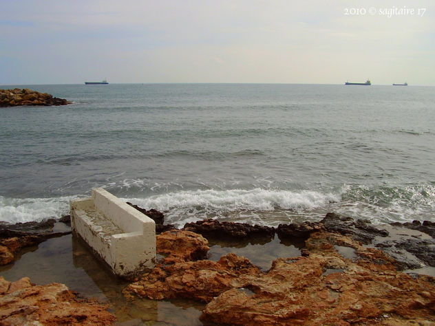 14 de febrero 2010 - Torrevieja - 10-02.0025 -