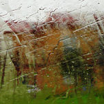 Un Tren de Lluvia thumbnail 1