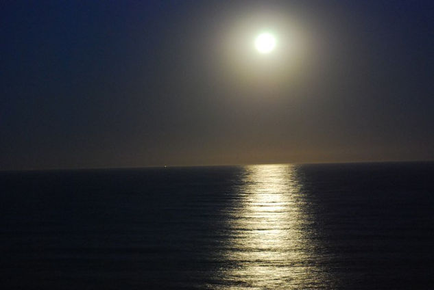 Soñando en Mardel plata 