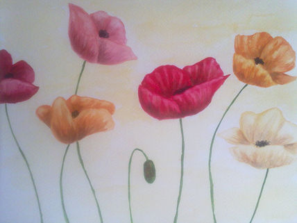 Amapolas