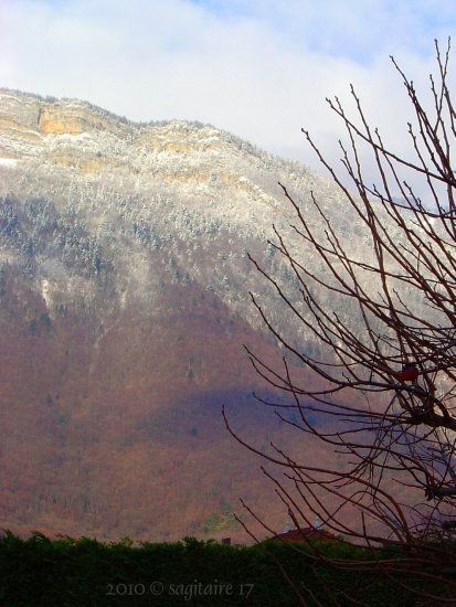 Navidades en Francia . 10-01.0005 -
