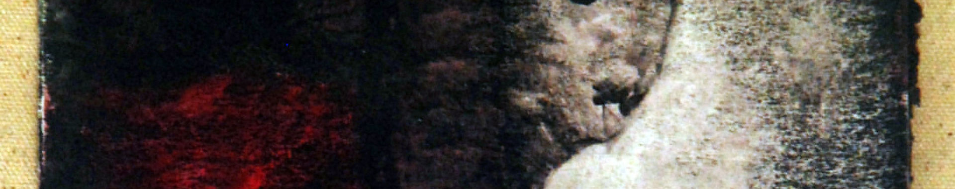 Imagen de portada
