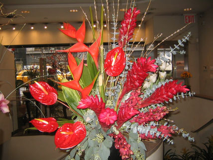 Diseno americo lopez