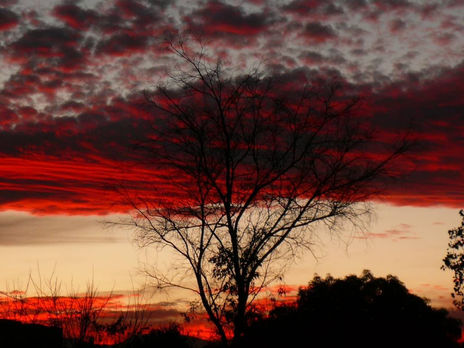 Atardecer urbano