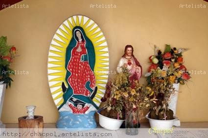 Guadalupe 309