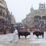 Fotografia thumbnail 1