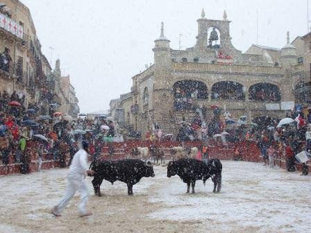 "Nevada en el Carnaval del Toro, Ciudad Rodrigo"