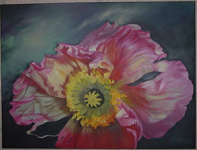 amapola rosa Oil Canvas Floral Painting