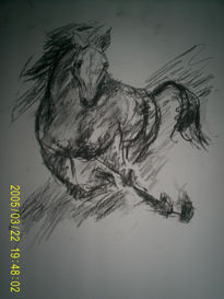 Potro