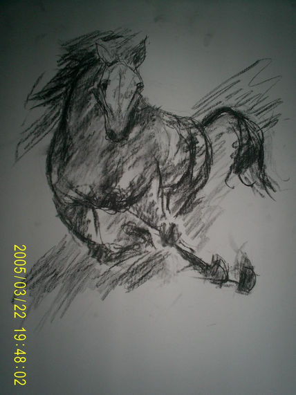 Potro