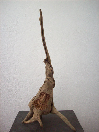 Raíz  brezo pantano2. Wood Figurative