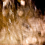 Mi jardin magico thumbnail 2