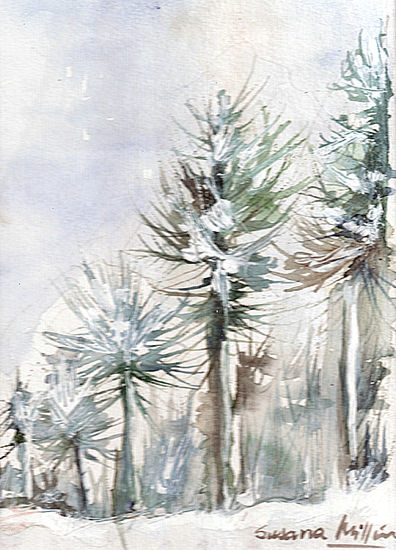 Pehuenes Watercolour Paper Landscaping