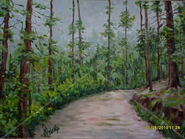 Camino de La Cumbrecita Acrylic Canvas Landscaping