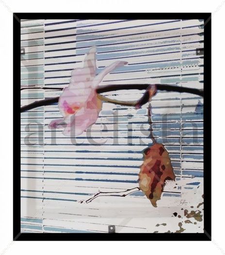 Orquídea iii