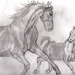 muchos dibujos thumbnail 1