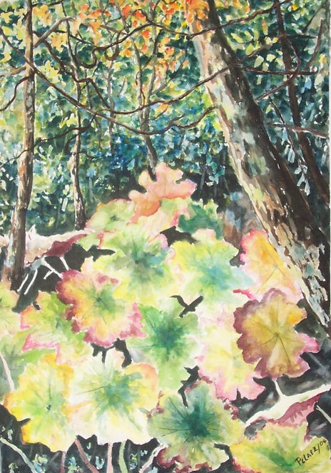 Algo de la selva II