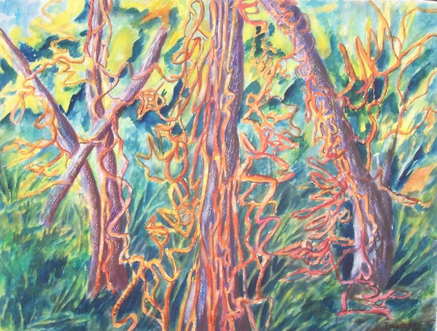 Colors de la selva