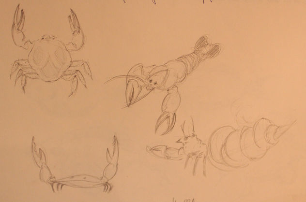 cuaderno de bocetos