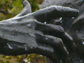 GOTAS