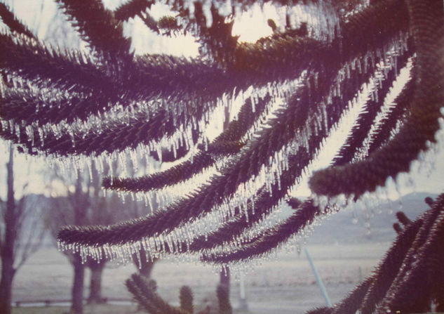 DE LA LLUVIA AL HIELO Naturaleza Color (Química)