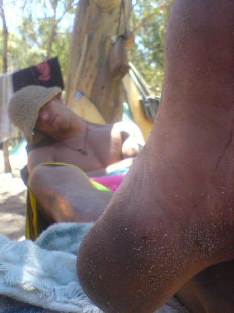 Siesta