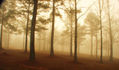 La Niebla de la Despedida.
